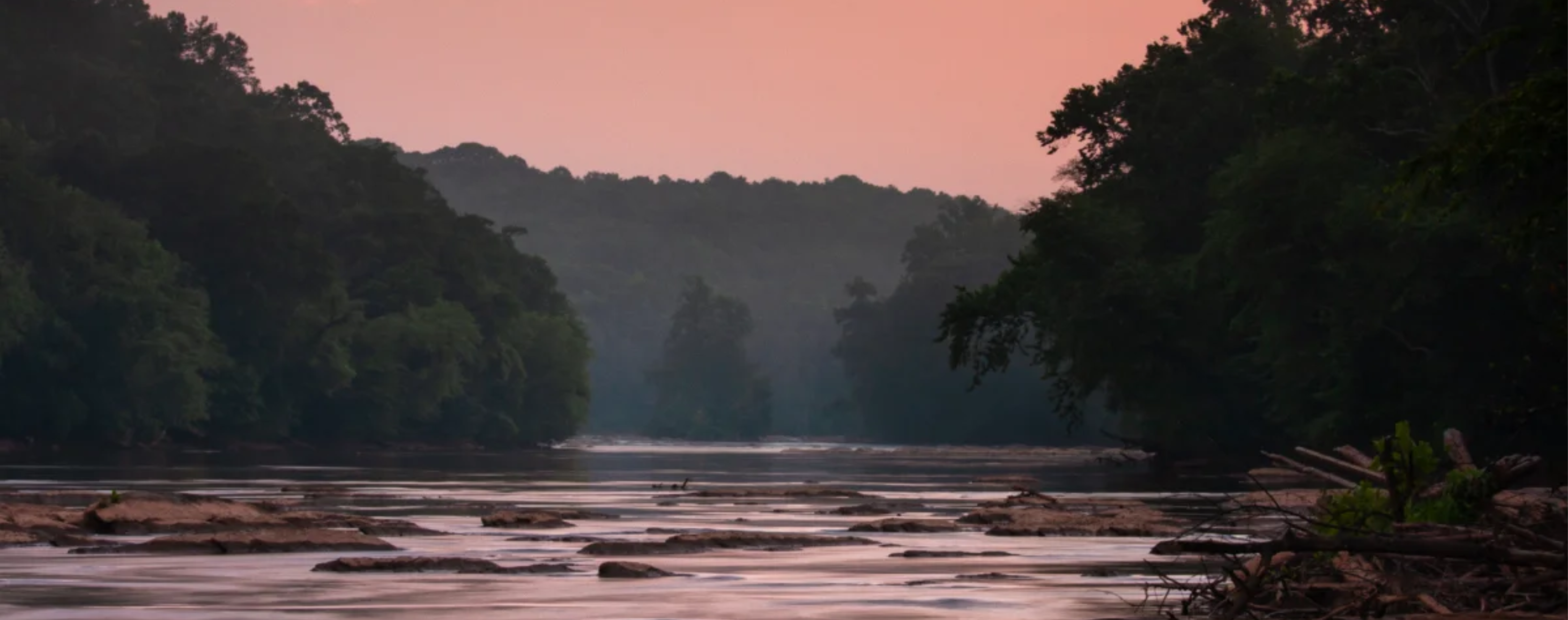 Section photograph — the South's growth economy meeting working forest, full-bleed