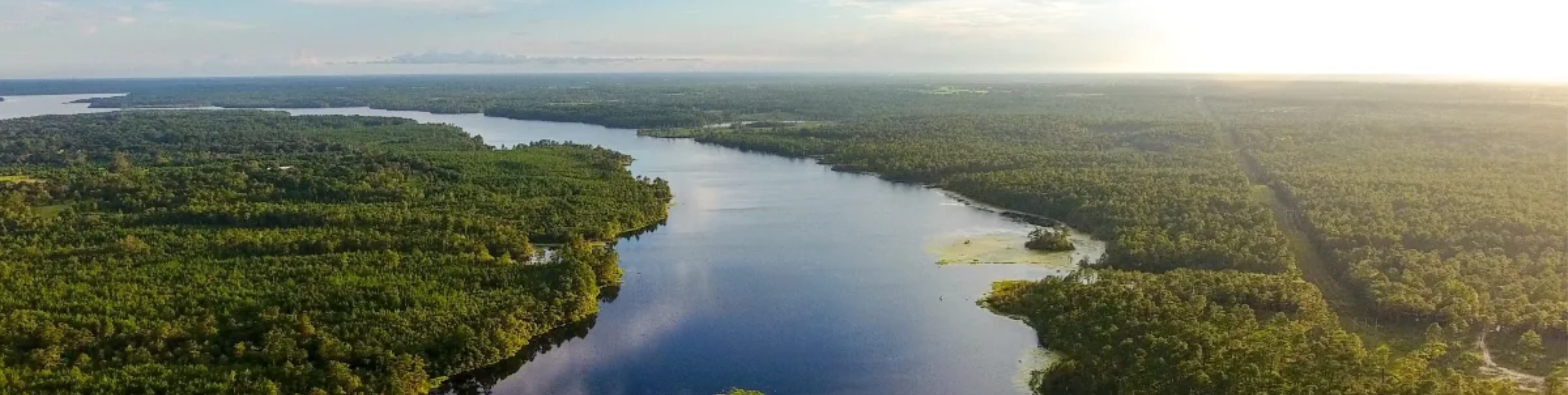 Section photograph — Southern forested watershed, full-bleed